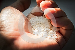 Raw rice in hand