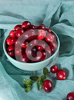 Raw ripe red cranberry berries in light blue bowl