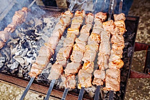 raw roasted marinated meat barbecue shish kebab shashlik on steel metal skewers lying grill fire brazier with charcoal