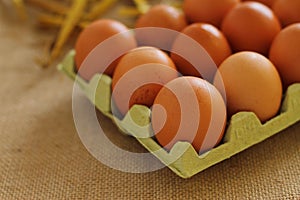 Raw rural brown eggs