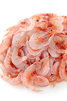 Raw sakura shrimp