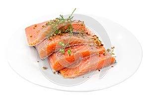 Raw Salmon