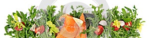 Raw Salmon Fillet with fresh Rocket Salad - Panorama