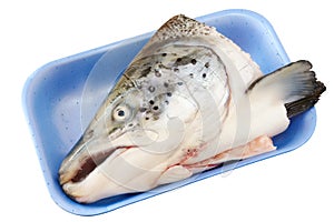 Raw salmon head