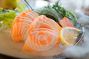 Raw salmon slice or salmon sashimi in Japanese style fresh serve