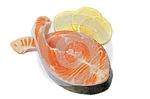 Raw salmon steak in the form