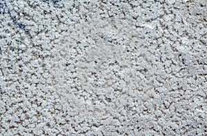 Raw salt crystals texture