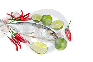 Raw salt mackerel fish with vegetables