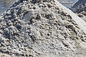 Raw salt or pile of salt from sea water in evaporation; ponds at