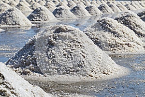 Raw salt or pile of salt from sea water in evaporation; ponds at