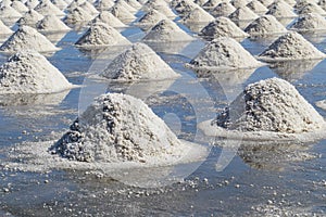 Raw salt or pile of salt from sea water in evaporation; ponds at