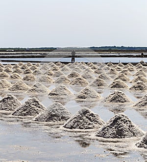 Raw salt or pile of salt from sea water in evaporation; ponds at