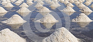 Raw salt or pile of salt from sea water in evaporation; ponds at