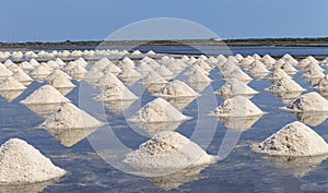 Raw salt or pile of salt from sea water in evaporation; ponds at