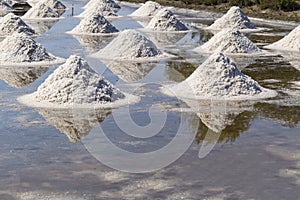 Raw salt or pile of salt from sea water in evaporation; ponds at