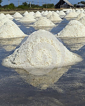 Raw salt or pile of salt from sea water in evaporation; ponds at Phetchaburi ,Thailand