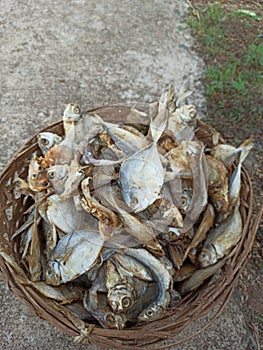 This is raw salted fish that has just been dried in the hot sun