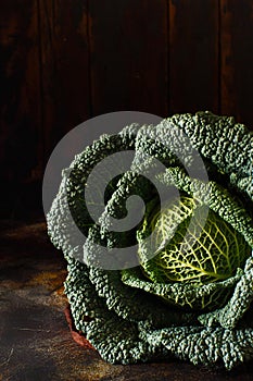 Raw savoy cabbage