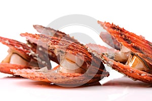 Raw scallop shell