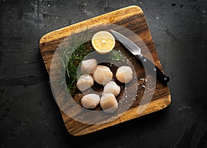 Raw scallop on a wooden board