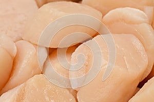 Raw scallops