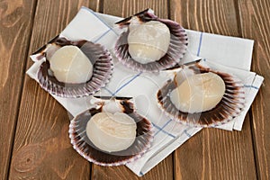 Raw scallops