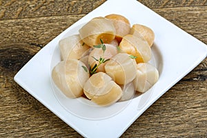 Raw scallops