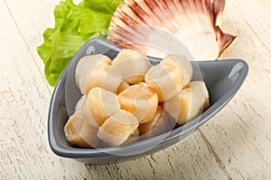 Raw scallops heap