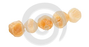 Raw Scallops isolated on white