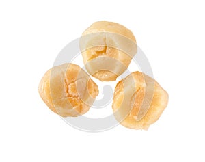 Raw Scallops isolated on white