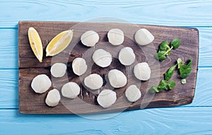 Raw scallops with salad