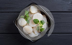 Raw scallops with salad