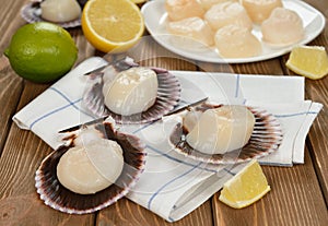 Raw scallops in the shell