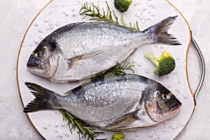 Raw sea bream fish