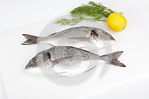 Raw sea breams with lemon and dill