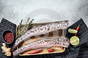 Raw sea eel fish with cooking ingredients. gray background. Top view. Copy space
