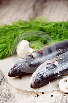 Raw seabass fish on the wooden board