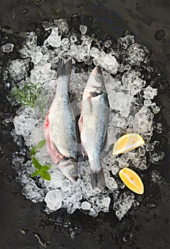 Raw seabass with lemon and rosemary on chipped ice over dark stone backdrop