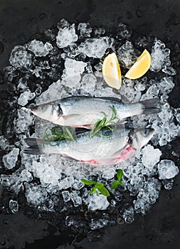 Raw seabass with lemon and rosemary on chipped ice over dark stone backdrop