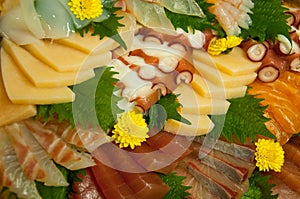 Raw Seafood Sashimi