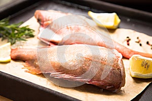 Raw Sebastes (red grouper)