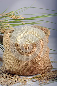 Raw Seeds and Basmati Rice  in a Sack