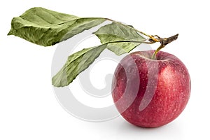 Raw Serbian jonathan apple