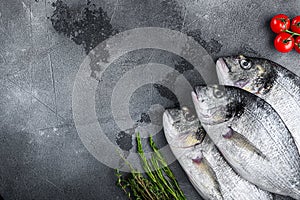 Raw set of seabream or Gilt head bream orata fish with herbs pepper lime tomato for cooking and grill on grey textured background