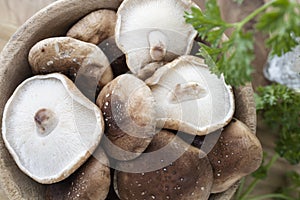 Raw shiitake mushrooms in the kitchen with parsley, olive oil and garlic. Mushroom photography