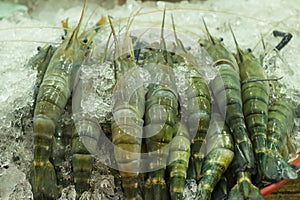 Raw shrimp on ice in the market. Raw shrimp for ingredients food