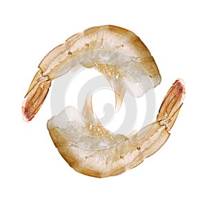 Raw shrimp isolated on white