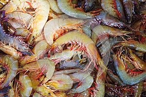 Raw shrimp in the market