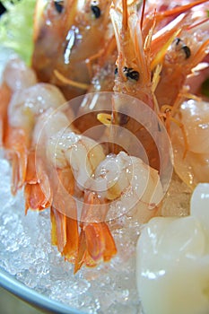 Raw shrimp sashimi Amaebi shell platter icecube