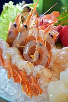 Raw shrimp sashimi Amaebi shell platter icecube